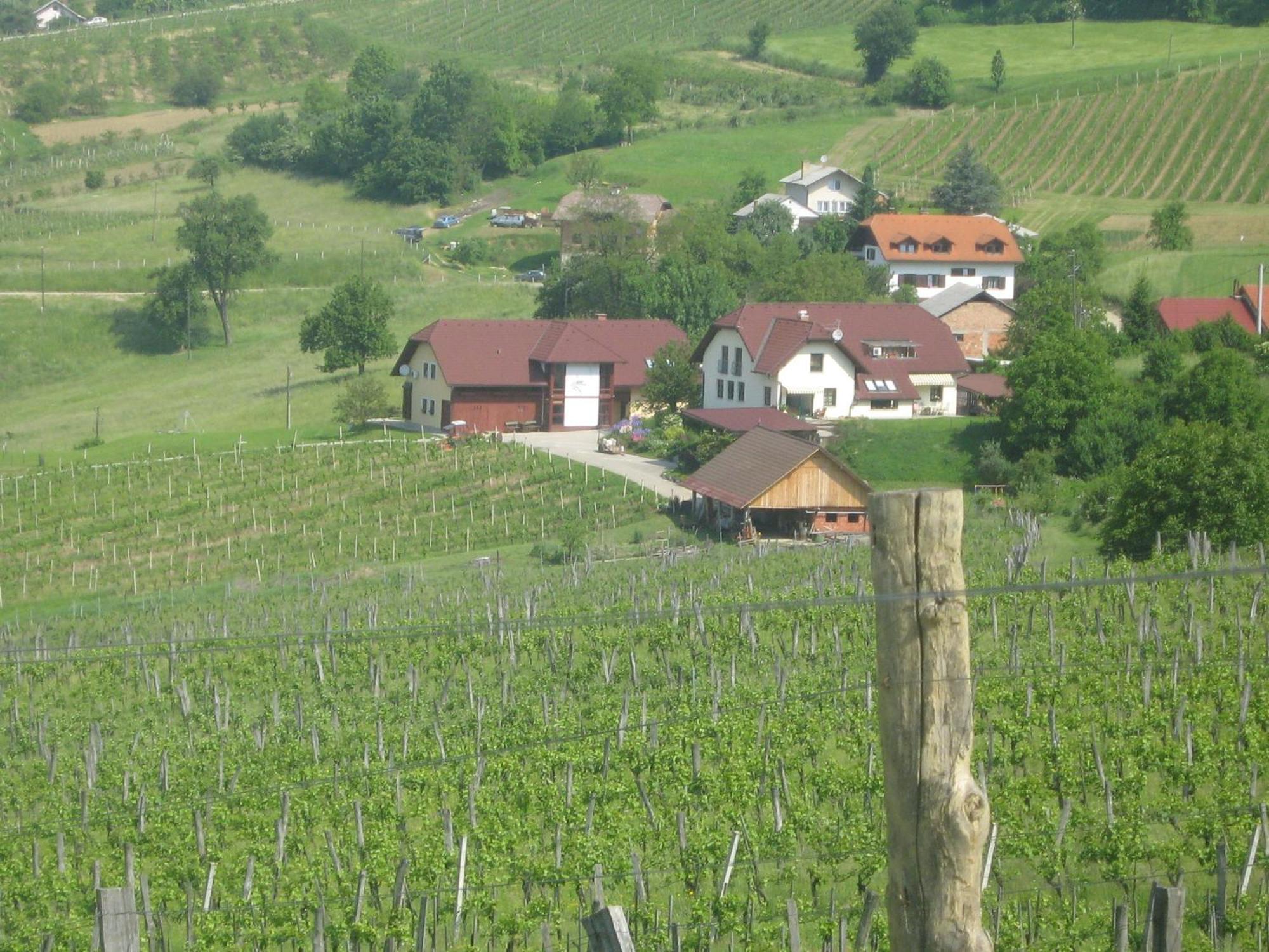 Tourist Farm Joannes Hotel Maribor Exterior photo